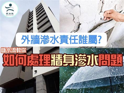 房子滲水|8大室內外漏水原因．防水專家教你處理